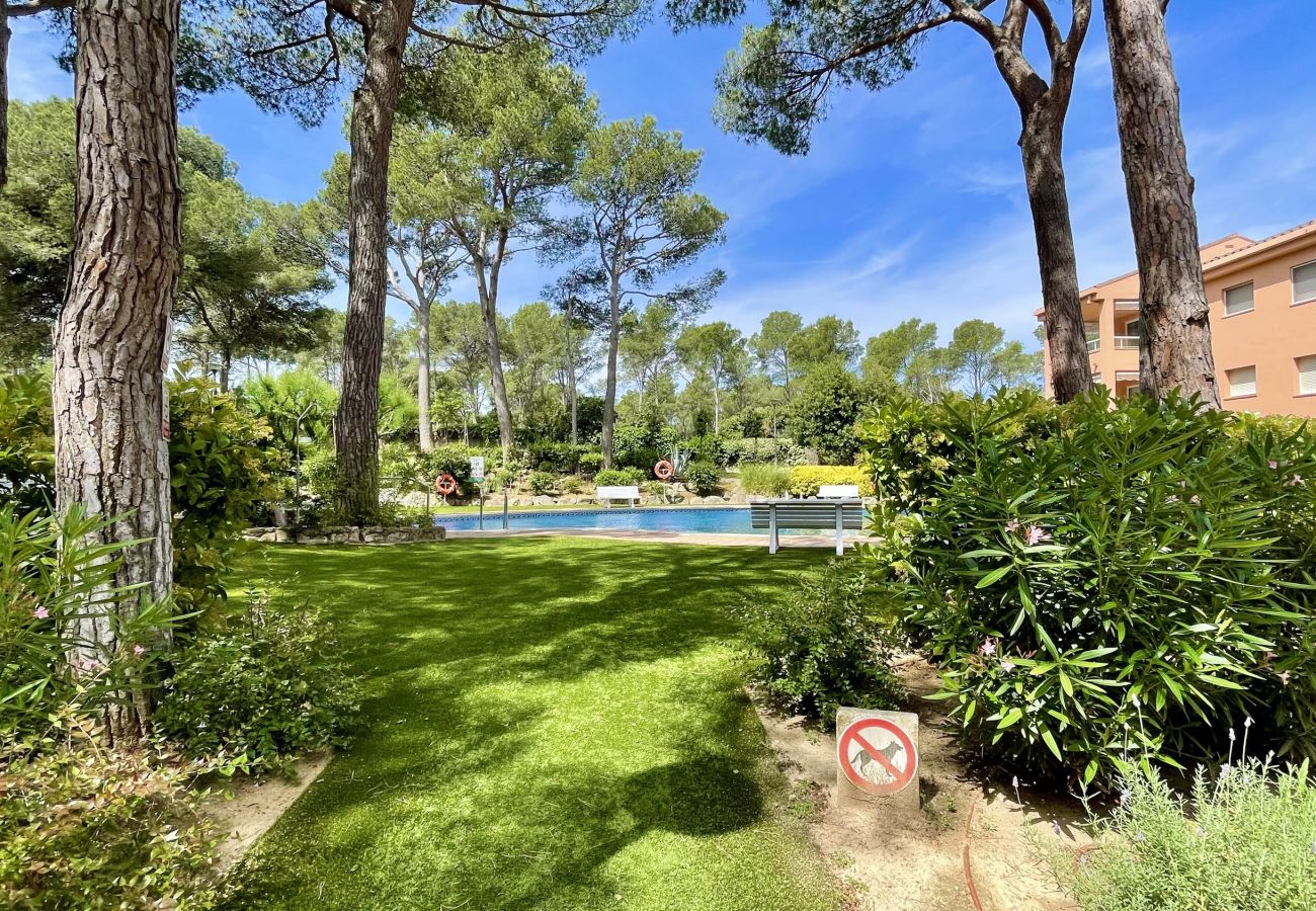 Appartement in Pals - PUIG SA GUILLA I C B2