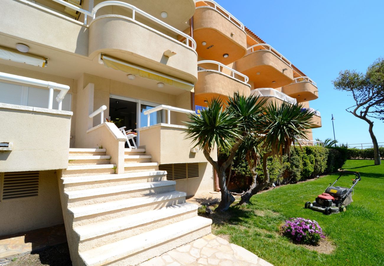 Apartment in Estartit - ARGONAVIS Ground Floor