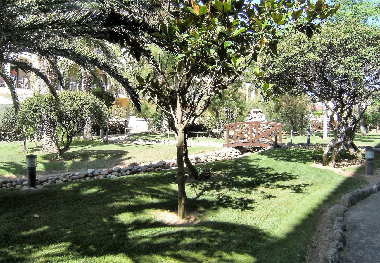 Apartment in Estartit - JARDINS DEL MAR 81 Apartment in Estartit - JARDINS DEL MAR 81