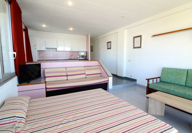 Studio in Estartit - NAUTIC ESTUDI BX-4 Studio in Estartit - NAUTIC ESTUDI BX-4