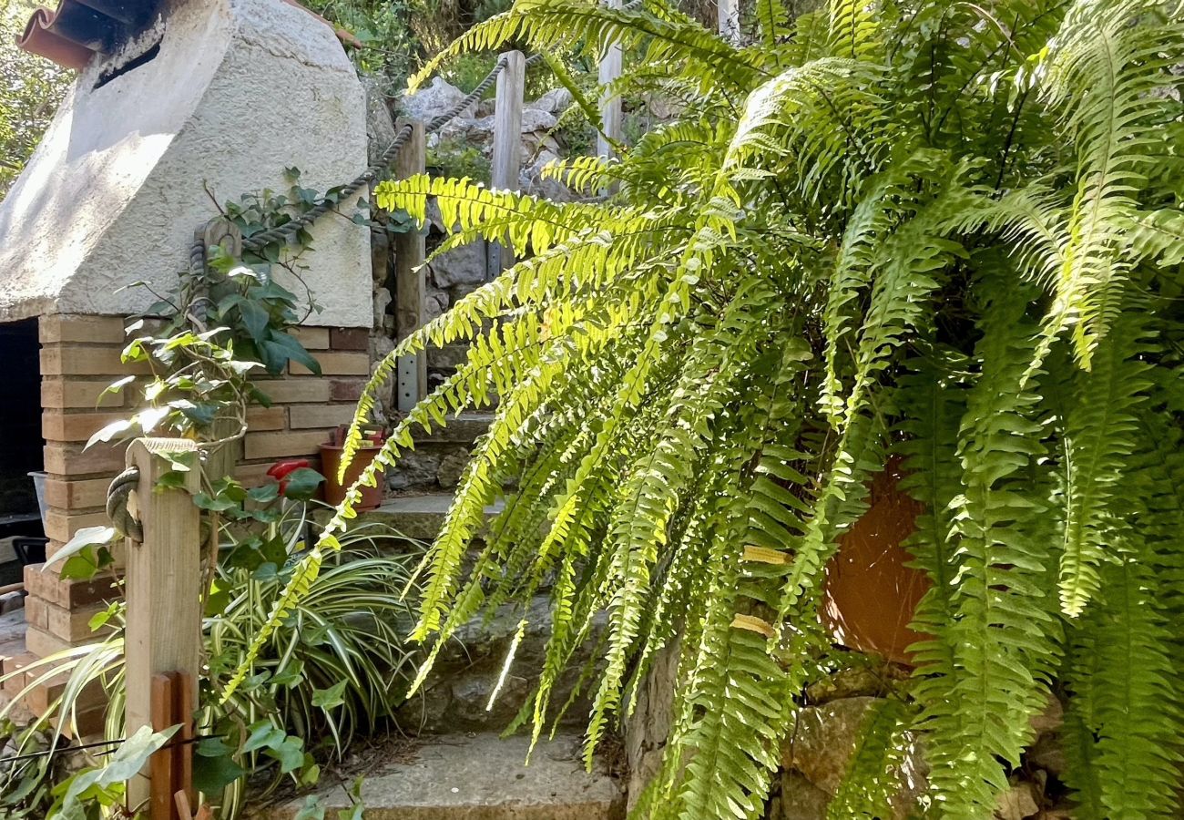 House in Estartit - LA MOLEDERA 112