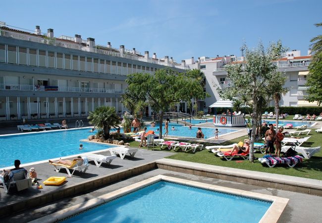 Appartement à Estartit - ILLA MAR D'OR 148 Appartement à Estartit - ILLA MAR D'OR 148