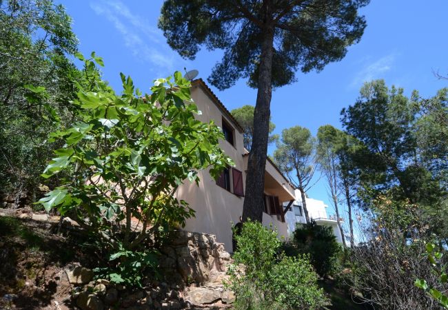 Maison à Pals - SA PUNTA 60 Maison à Pals - SA PUNTA 60